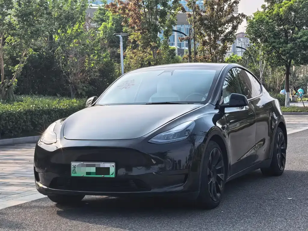 Tesla Model Y — фото 1