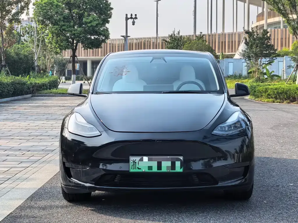 Tesla Model Y — фото 6