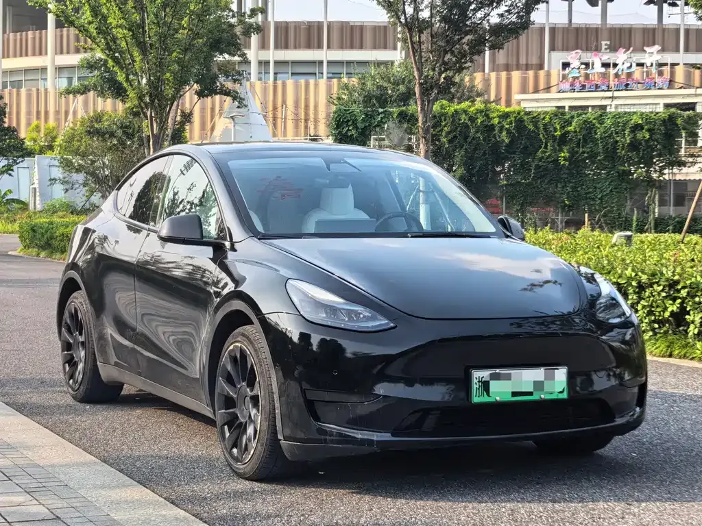 Tesla Model Y — фото 9