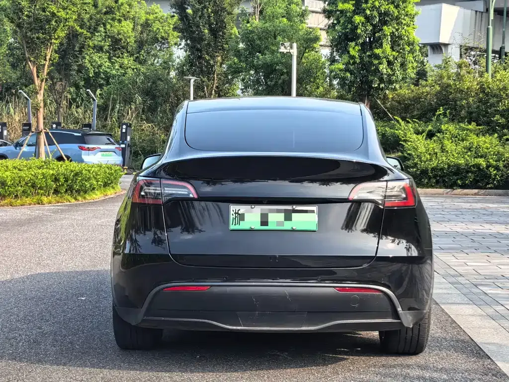 Tesla Model Y — фото 5