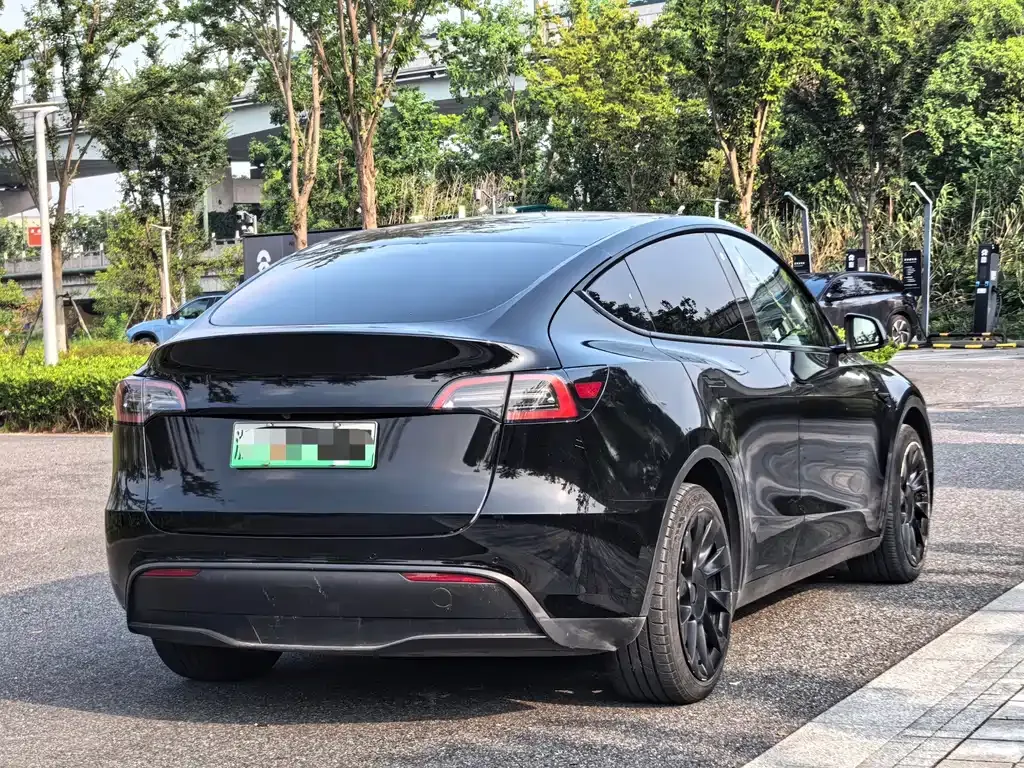 Tesla Model Y — фото 8