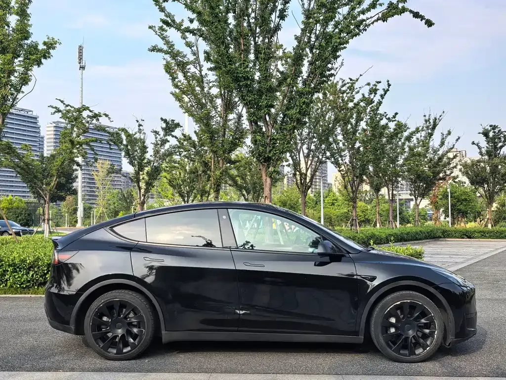 Tesla Model Y — фото 10
