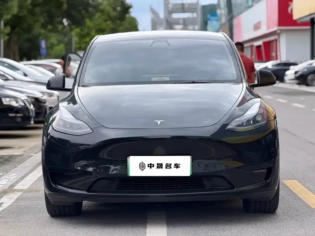 Tesla Model Y — фото 6