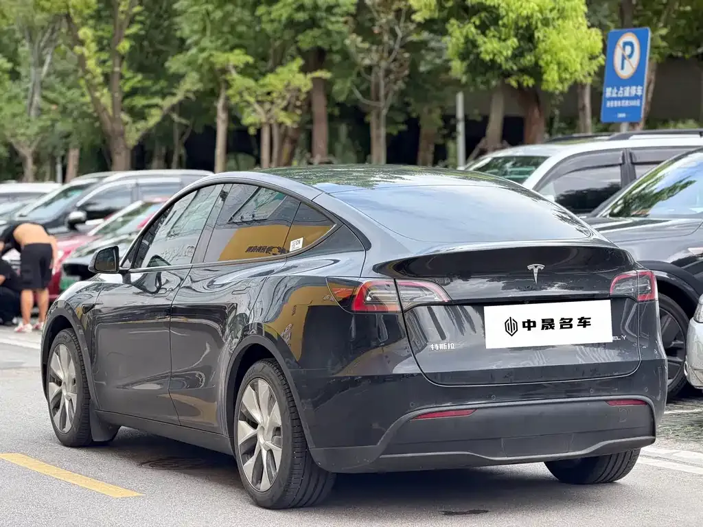 Tesla Model Y — фото 9