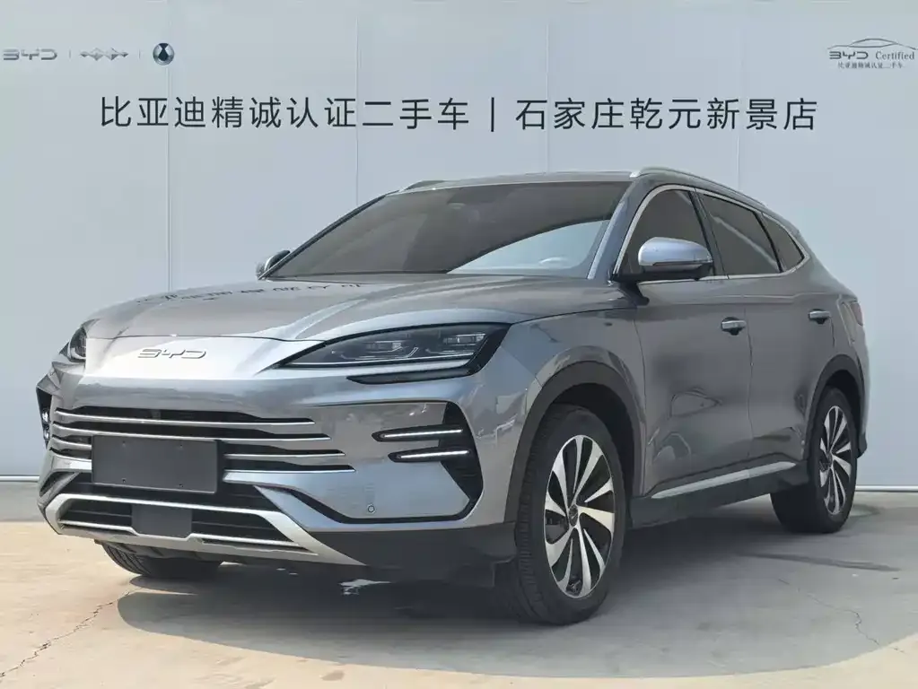 BYD PLUS New Energy — фото 1