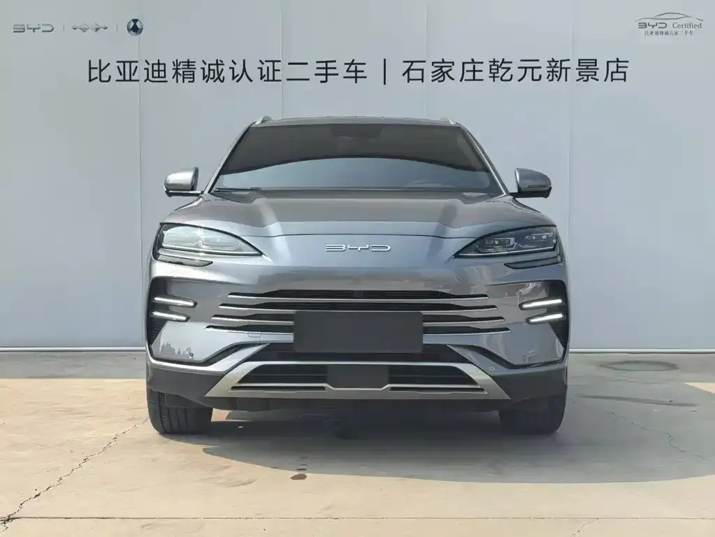 BYD PLUS New Energy — фото 4