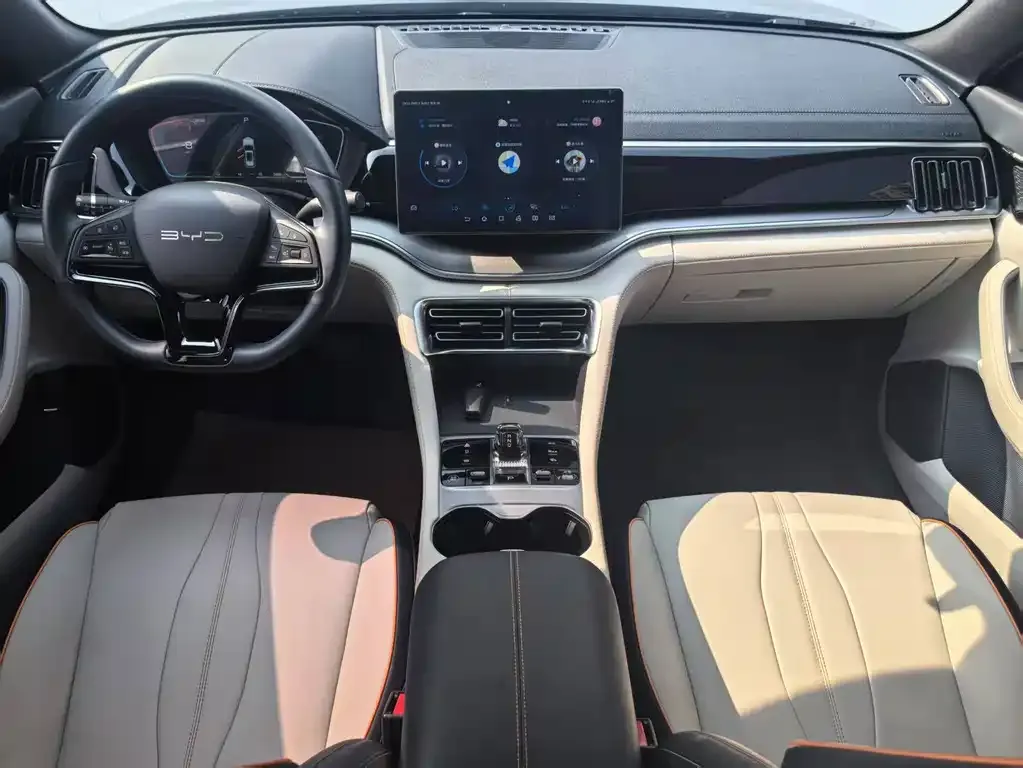 BYD PLUS New Energy — фото 10