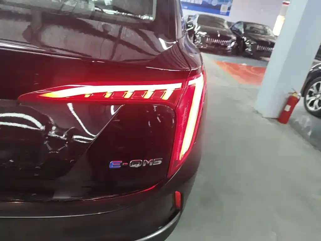Hongqi E-QM5 — фото 10