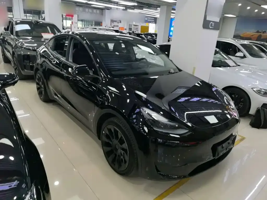 Tesla Model Y — фото 8