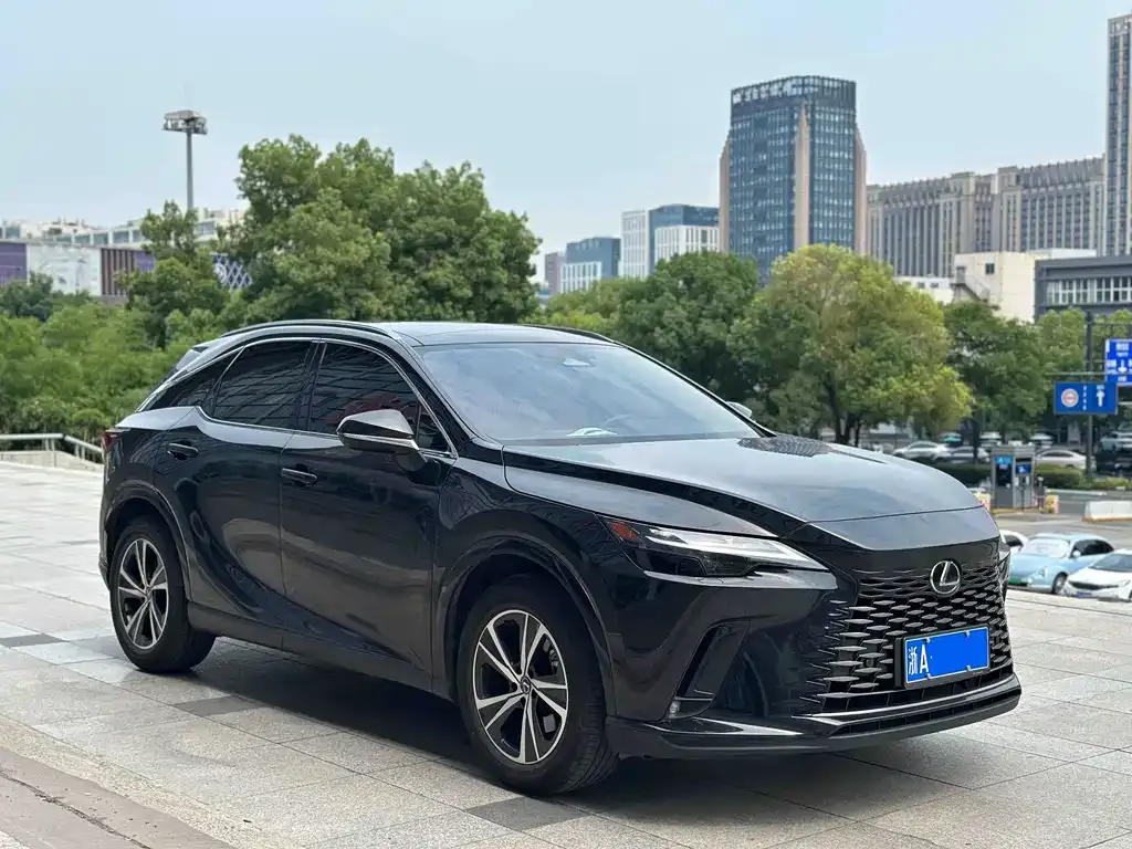Lexus RX — фото 9