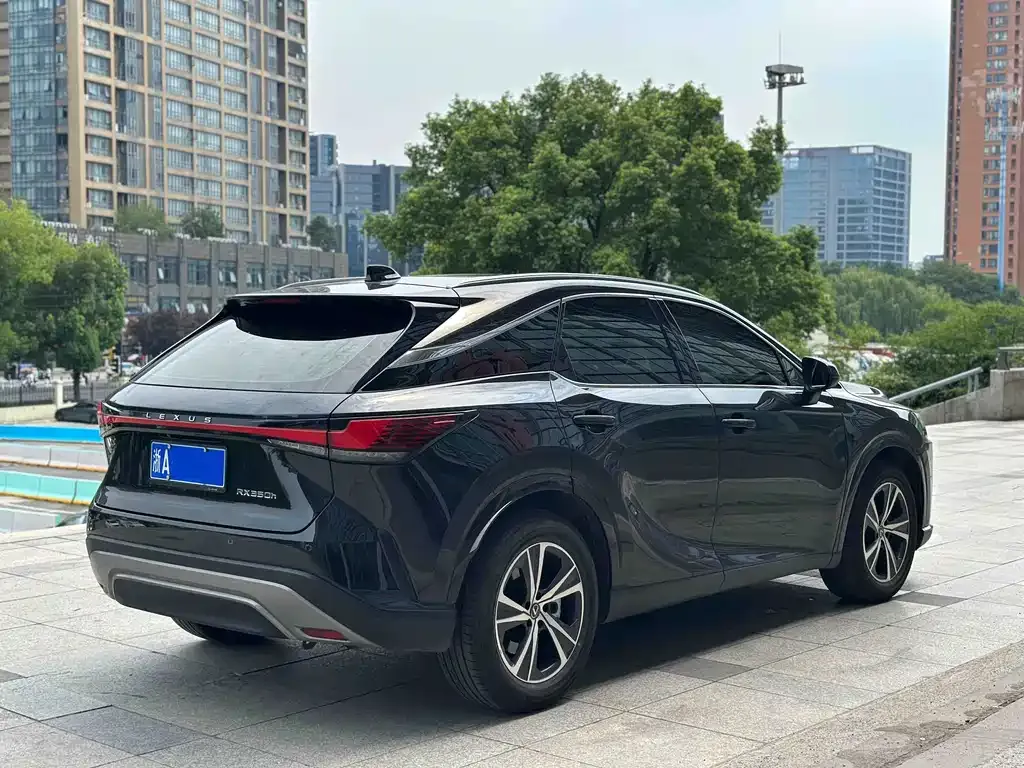 Lexus RX — фото 5
