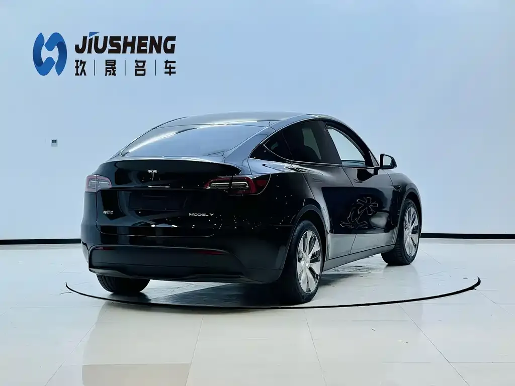 Tesla Model Y — фото 10