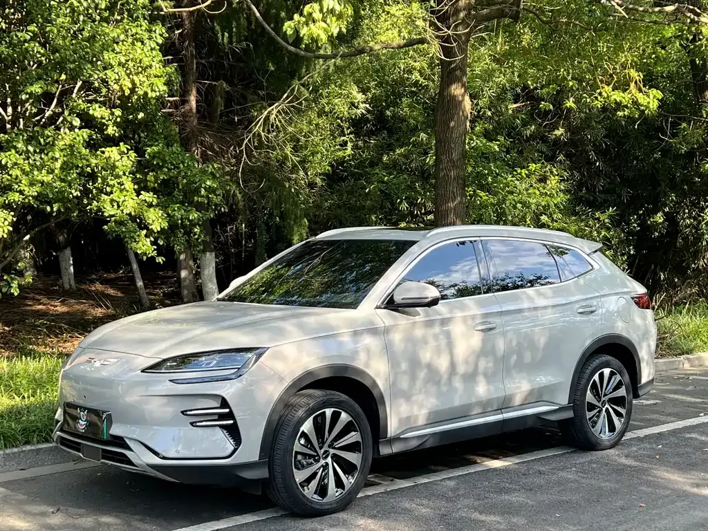 BYD PLUS New Energy — фото 1