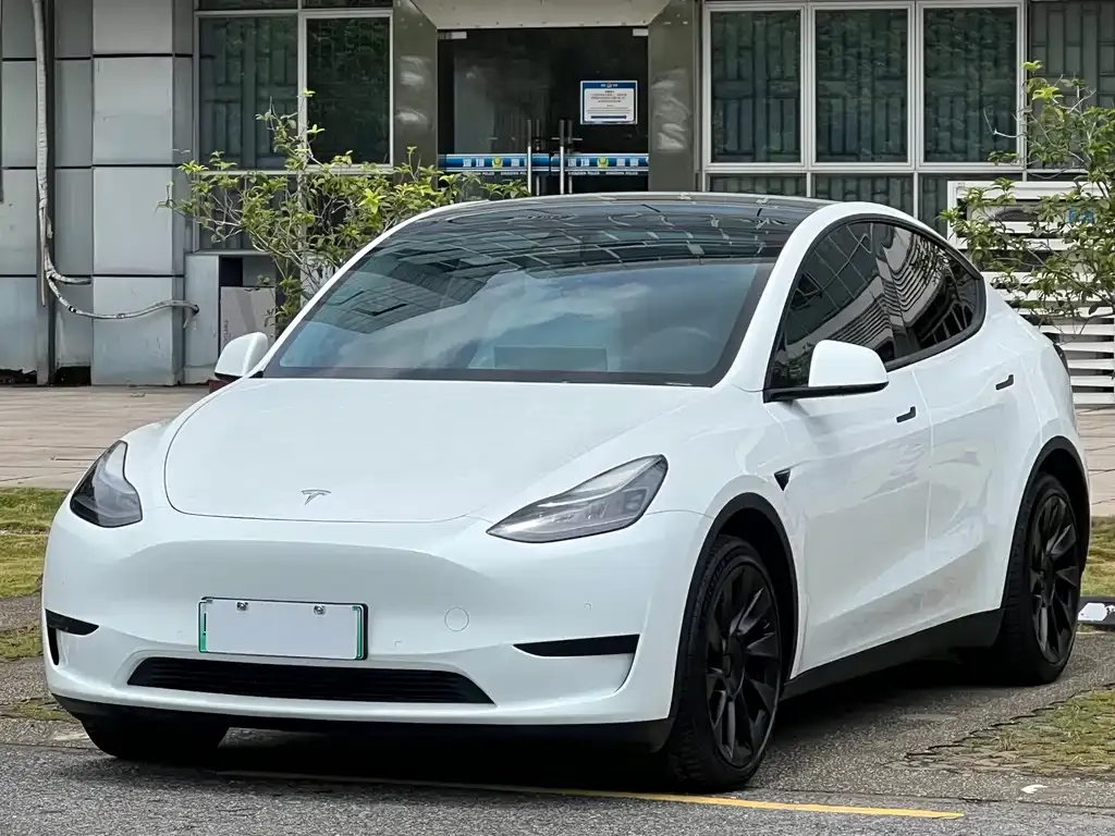 Tesla Model Y — фото 1