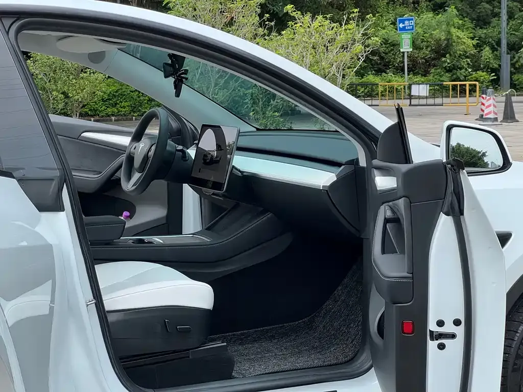 Tesla Model Y — фото 10