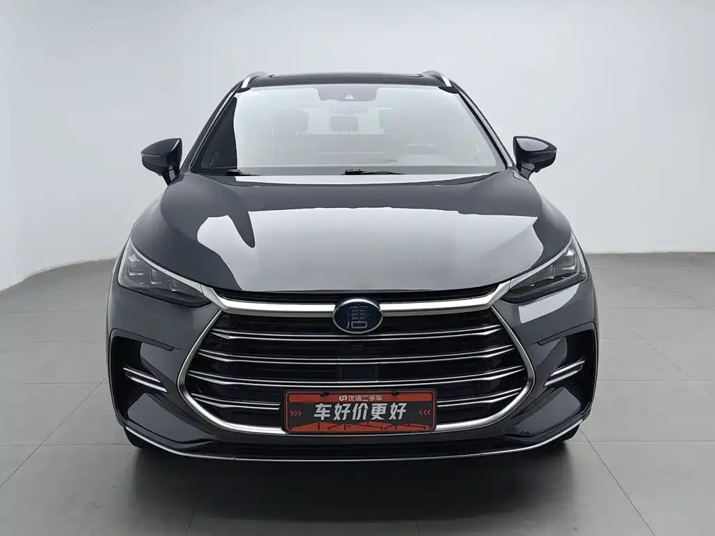 BYD Tang New Energy — фото 2