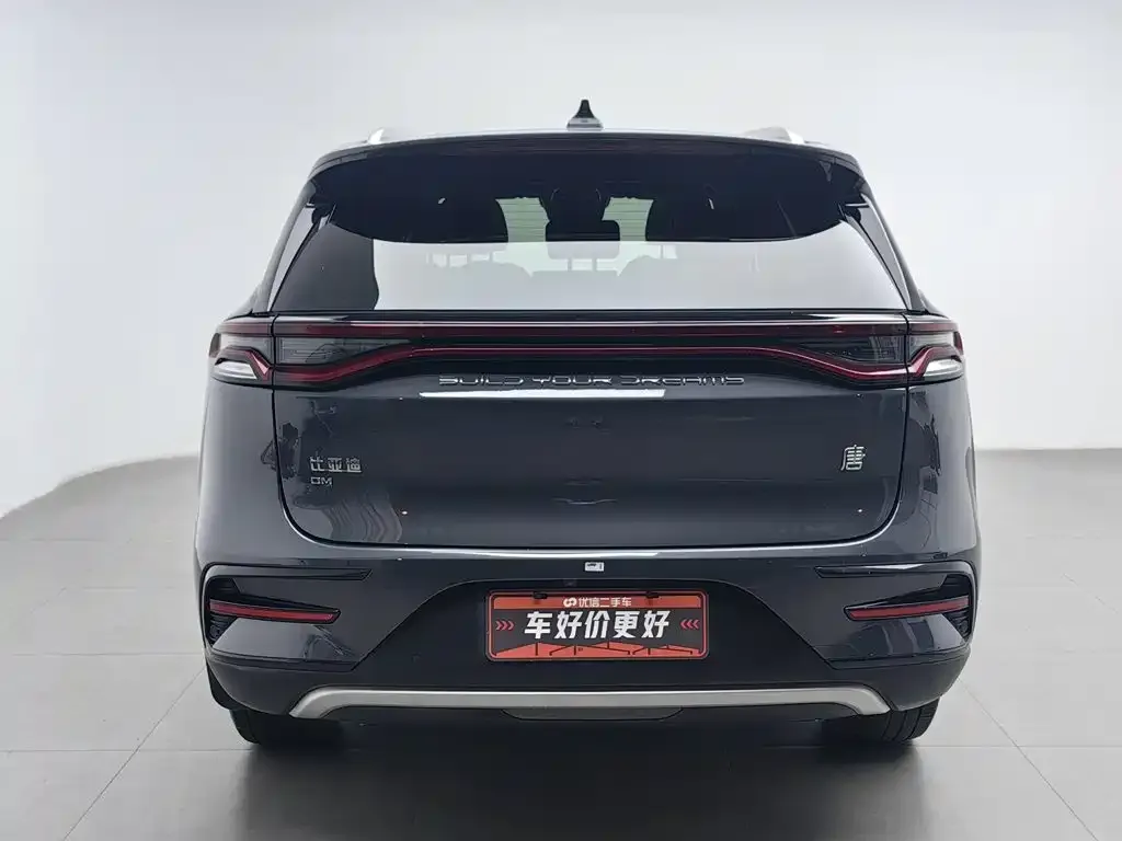 BYD Tang New Energy — фото 3