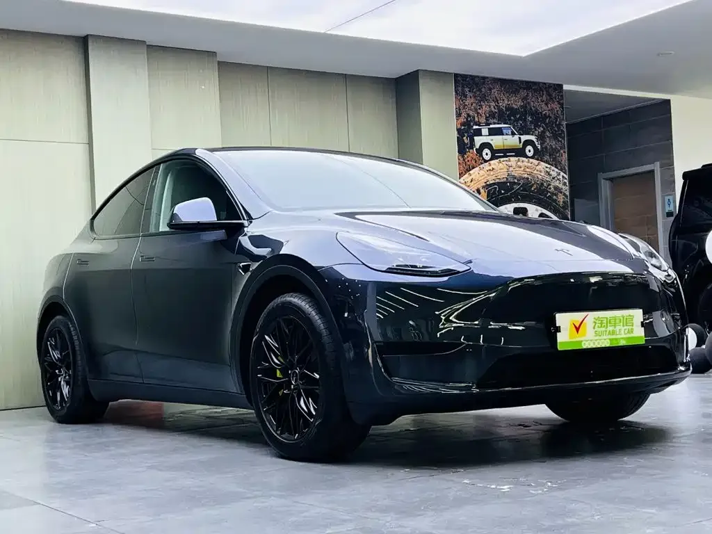 Tesla Model Y — фото 2