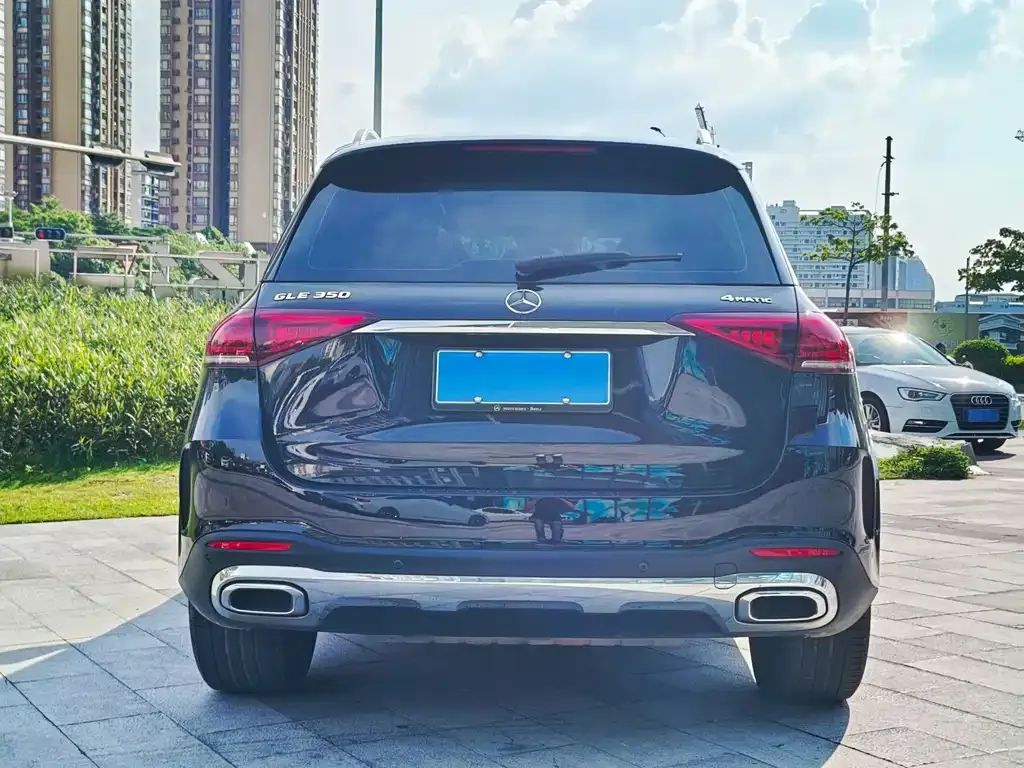 Mercedes-Benz 奔驰GLE(进口) — фото 4