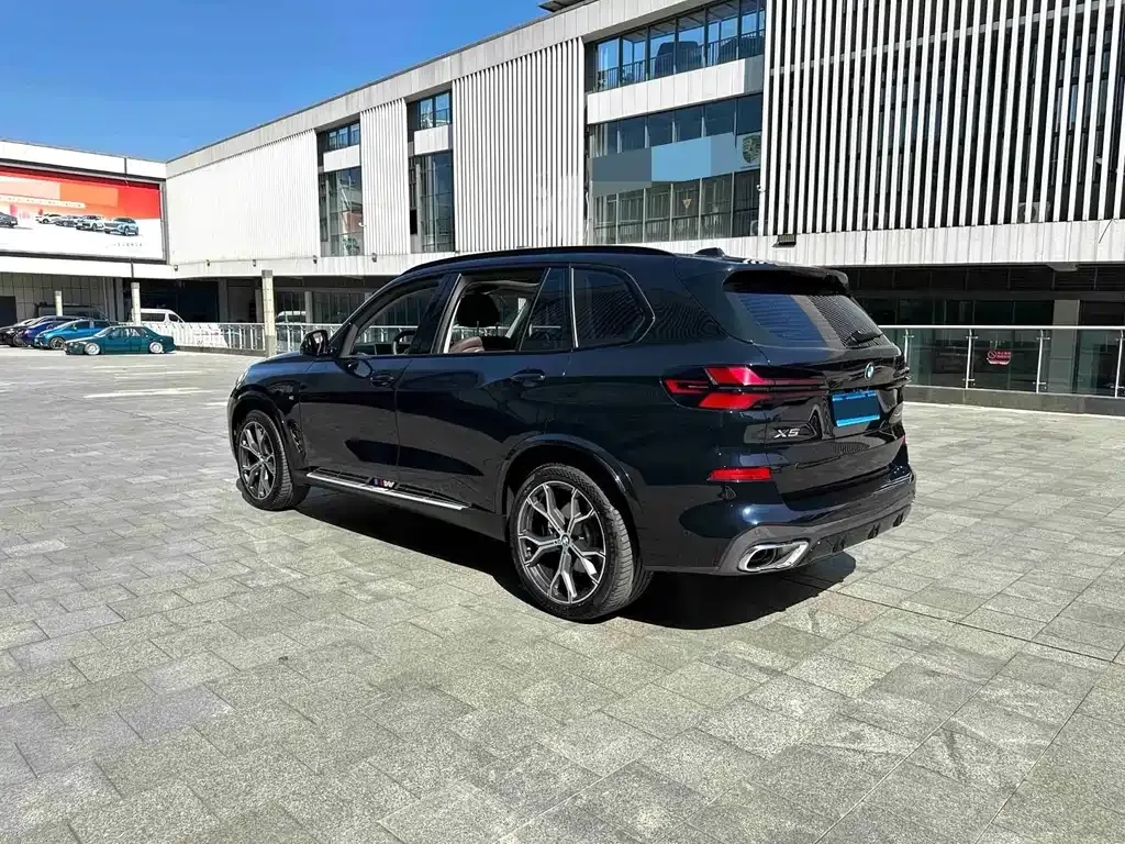 BMW X5 — фото 8
