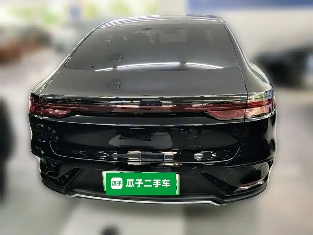 BYD Han — фото 2