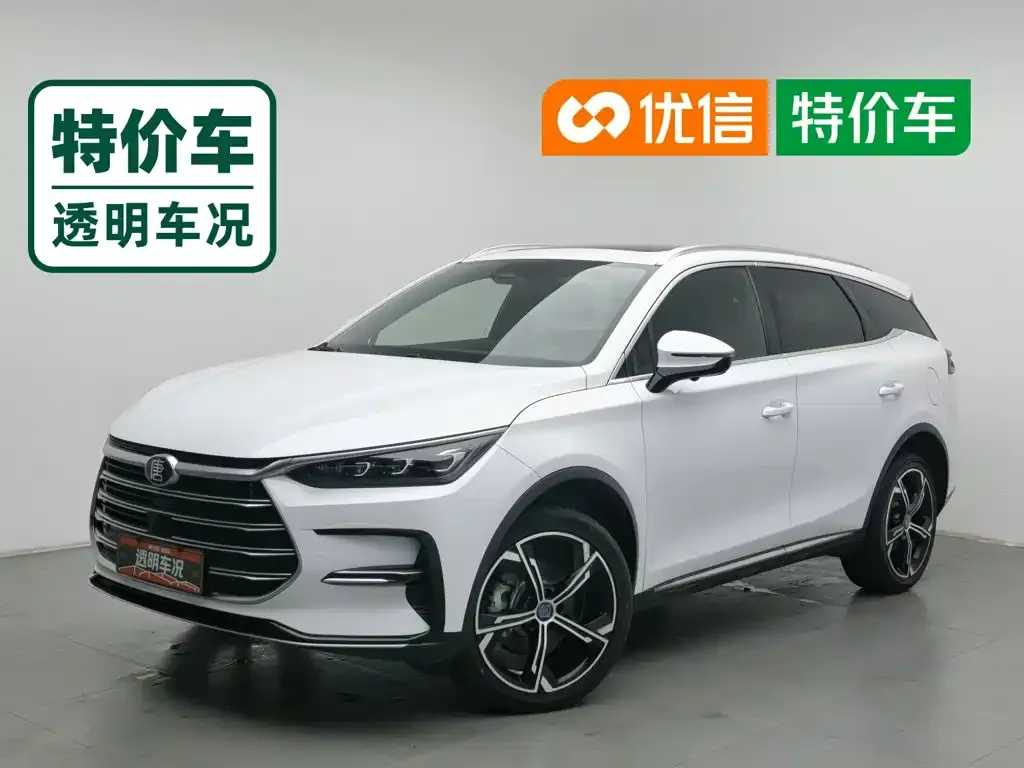 BYD Tang New Energy — фото 1