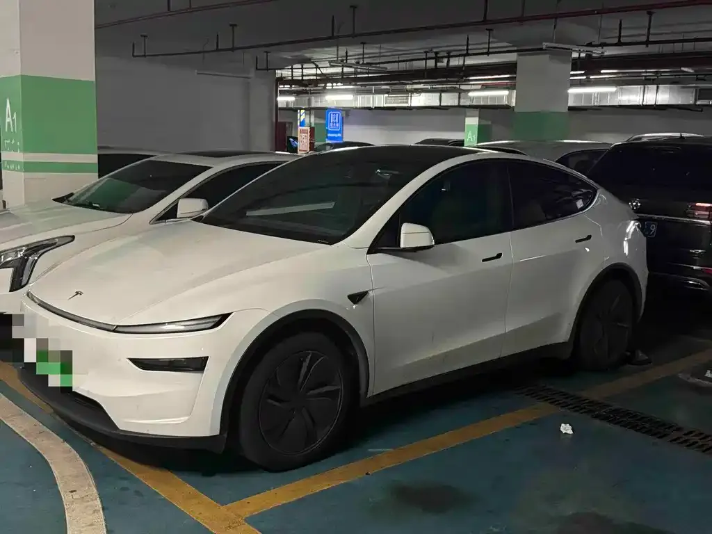 Tesla Model Y — фото 1