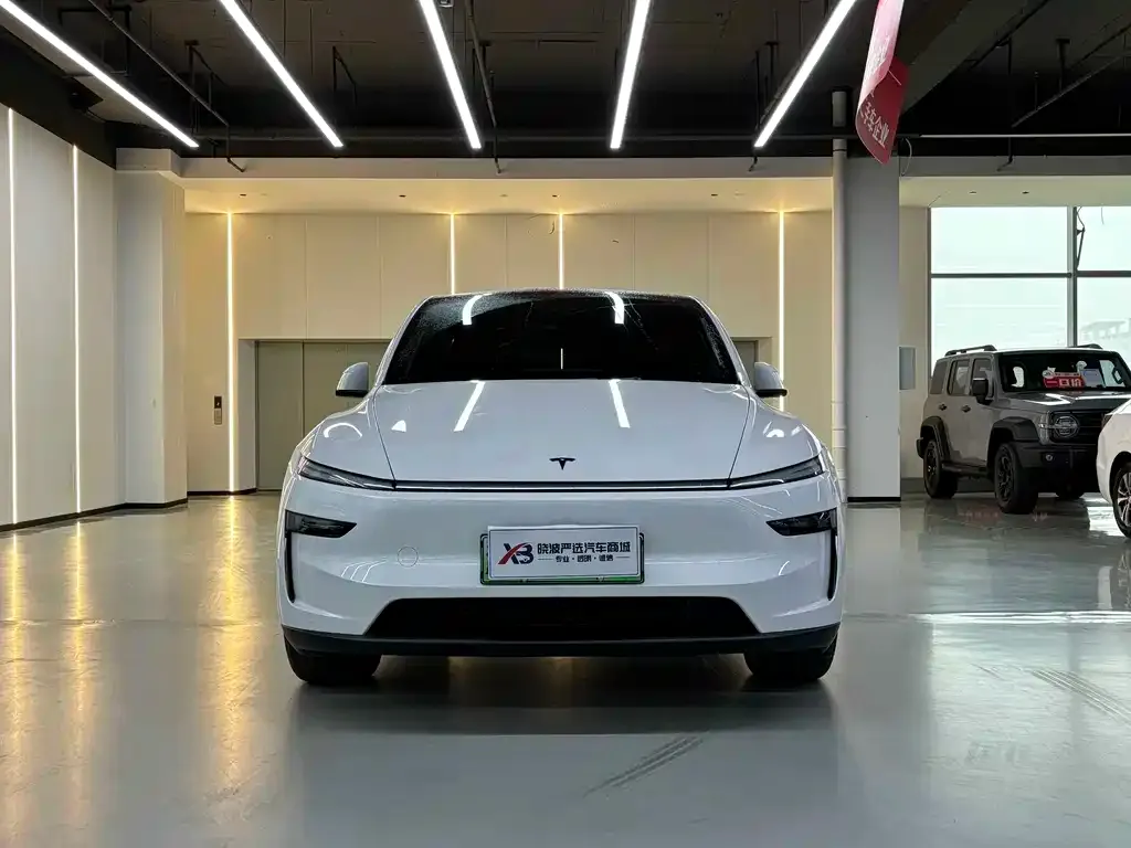 Tesla Model Y — фото 2