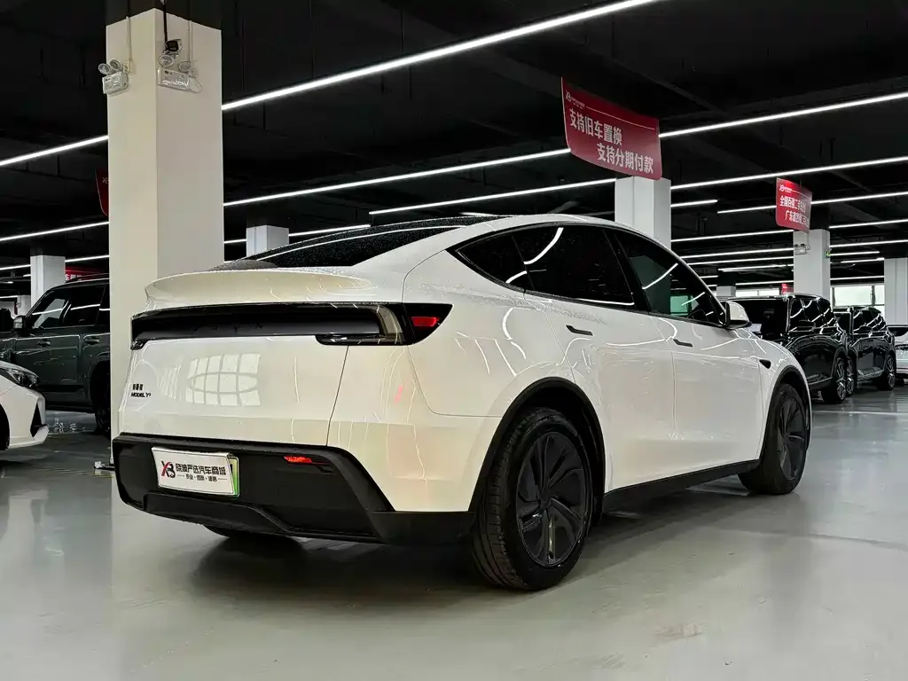 Tesla Model Y — фото 10