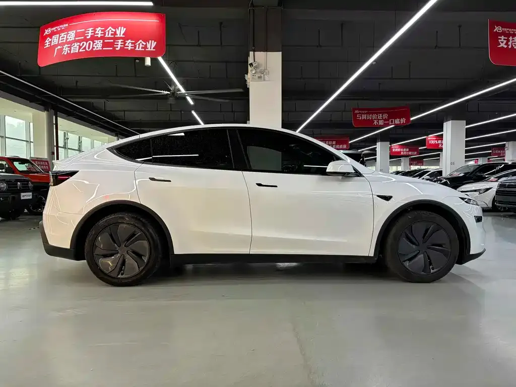 Tesla Model Y — фото 3