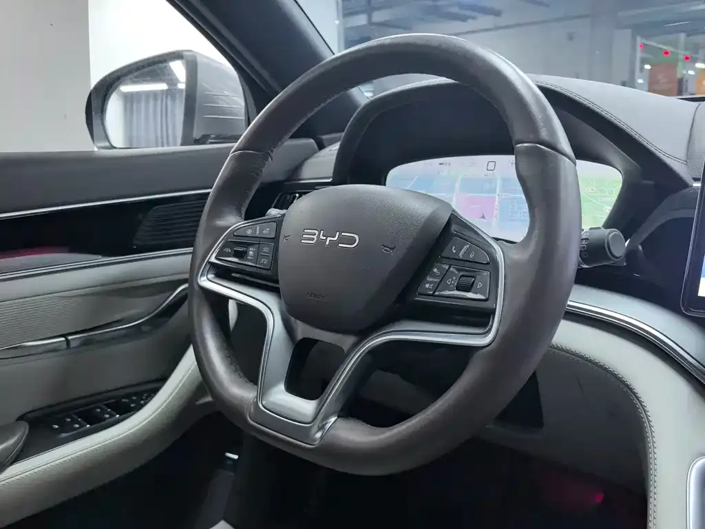 BYD PLUS New Energy — фото 7