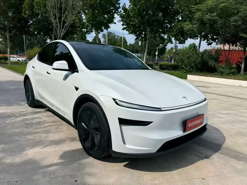 Tesla Model Y — фото 10