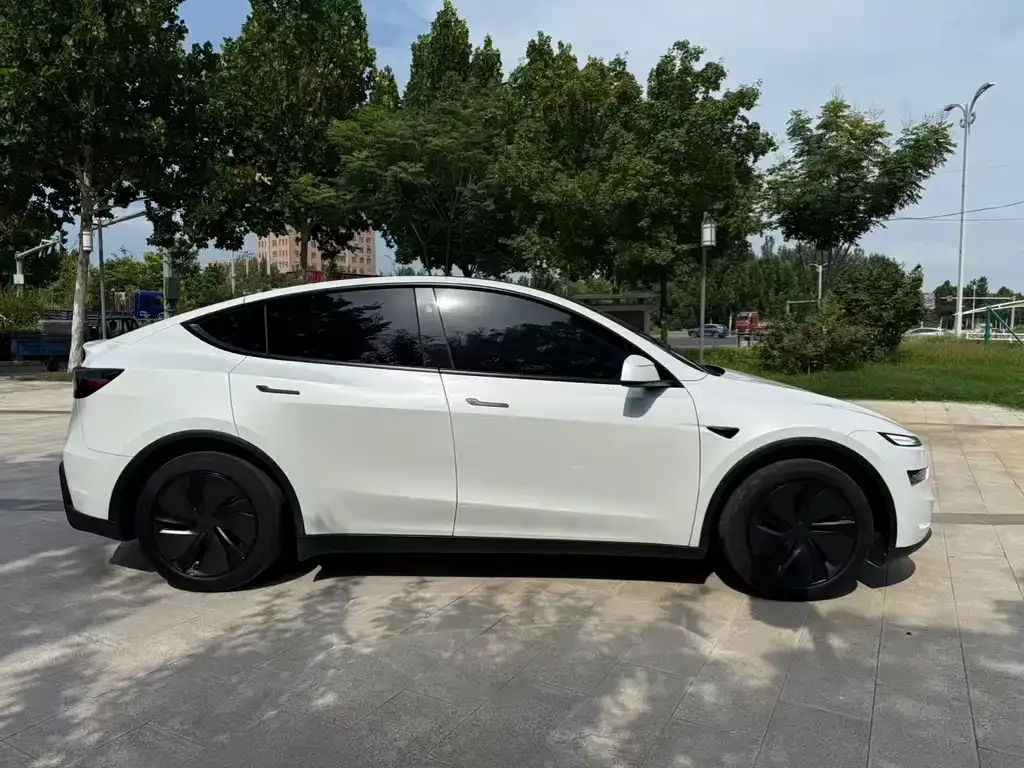 Tesla Model Y — фото 2