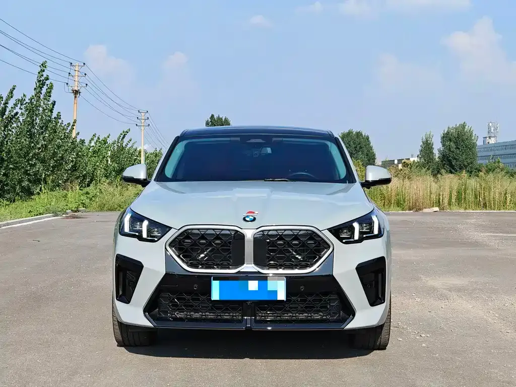BMW X2 (Import) — фото 6