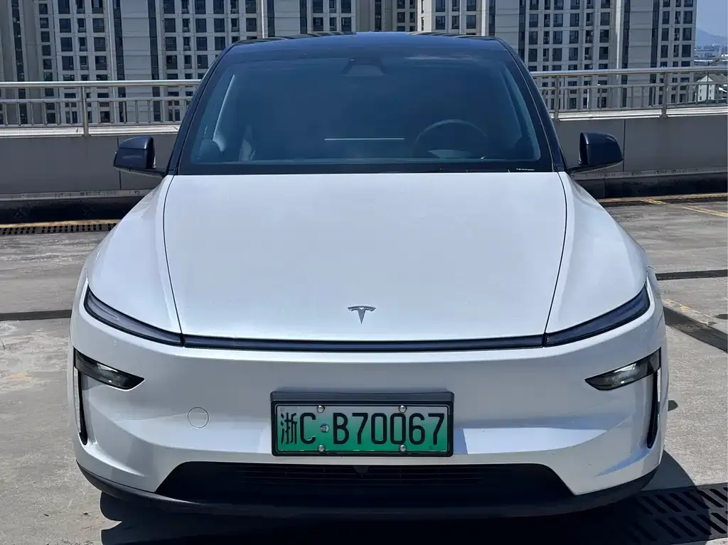 Tesla Model Y — фото 1