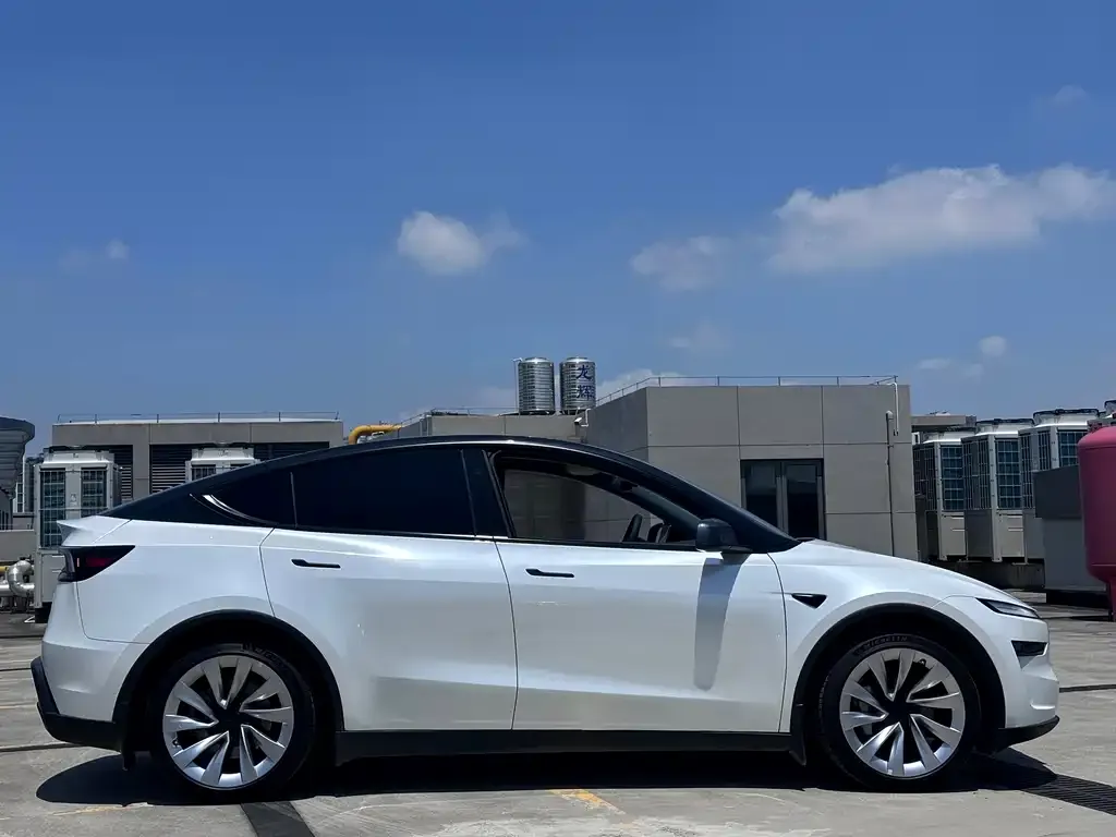 Tesla Model Y — фото 10