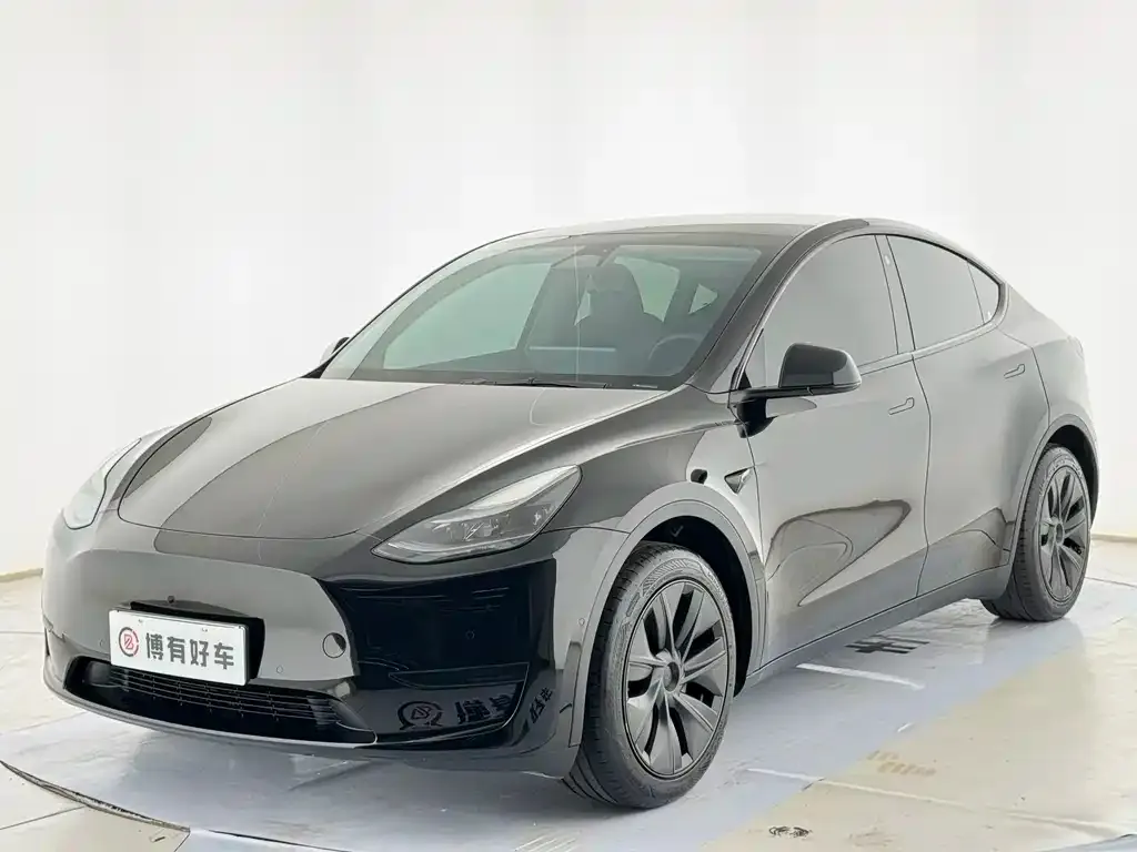 Tesla Model Y — фото 10