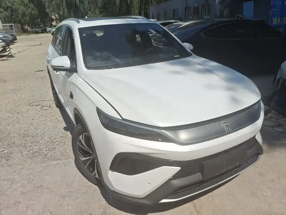 BYD Pro New Energy — фото 9
