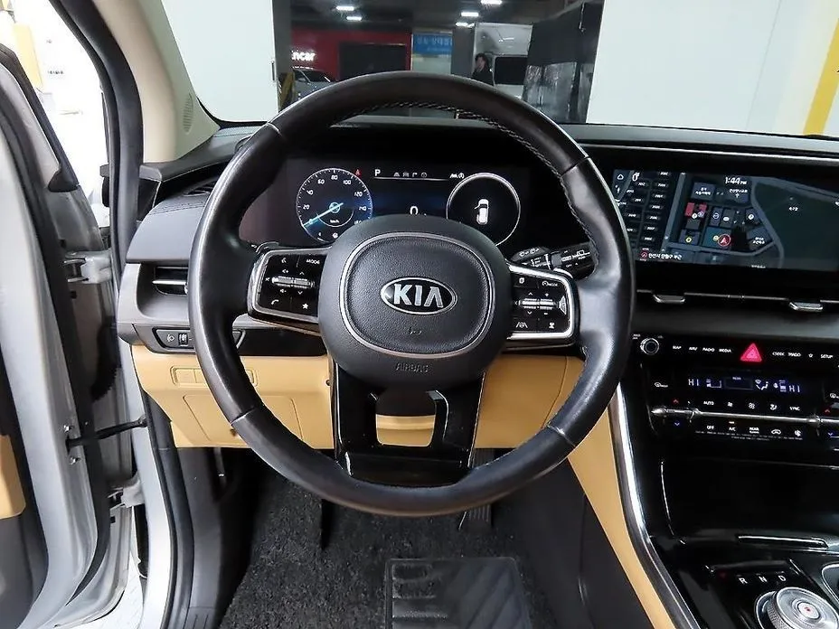 Kia Carnival — фото 10