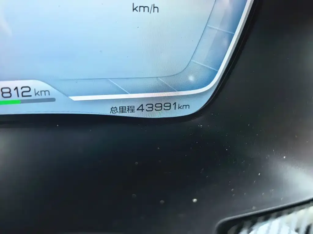 BYD PLUS New Energy — фото 2