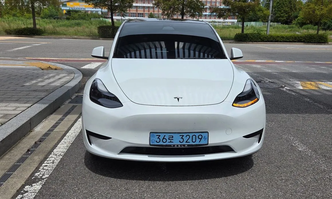 Tesla Model Y — фото 10