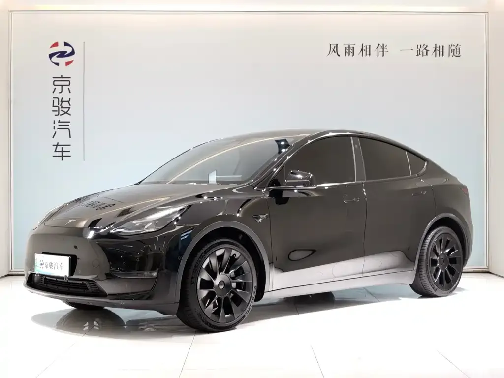 Tesla Model Y — фото 1