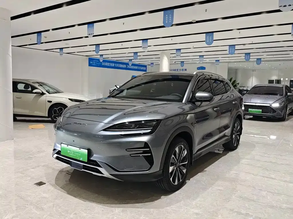 BYD PLUS New Energy — фото 1