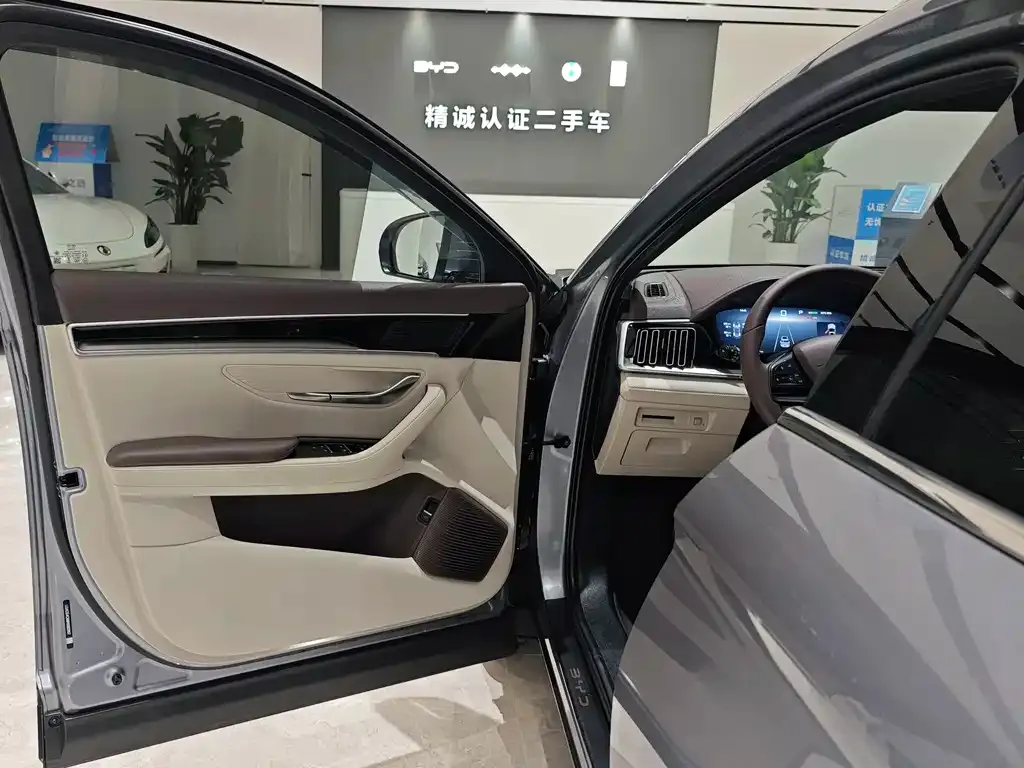 BYD PLUS New Energy — фото 6