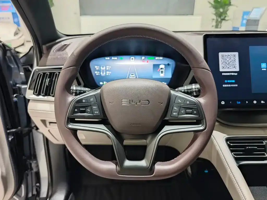 BYD PLUS New Energy — фото 8