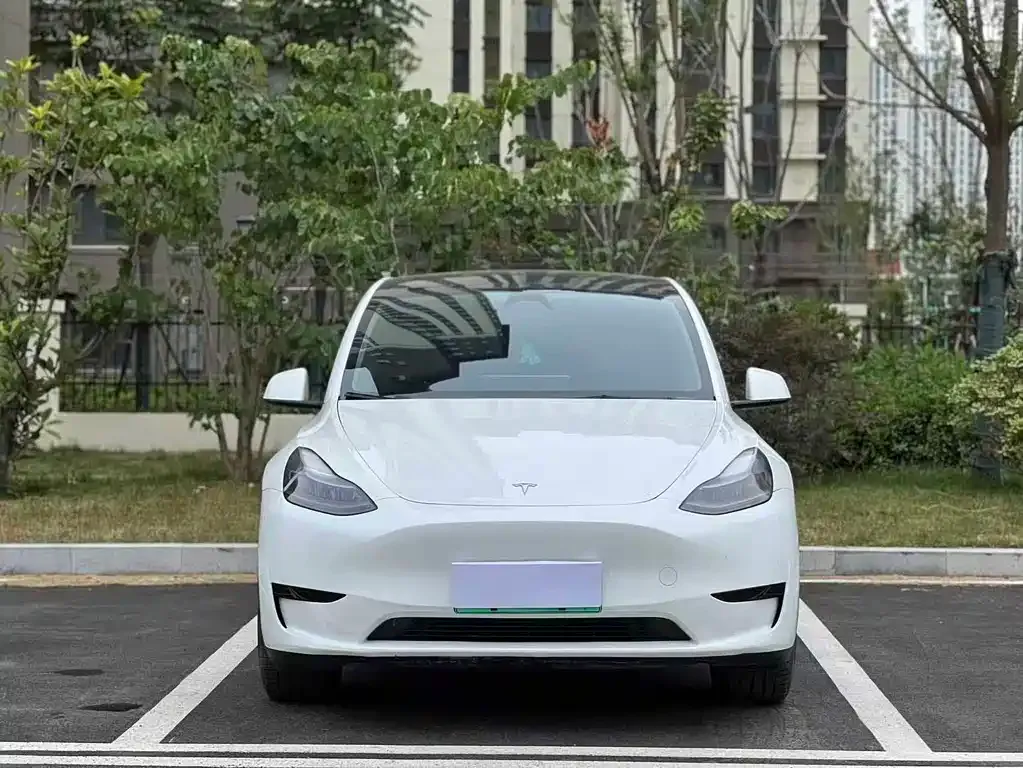 Tesla Model Y — фото 8