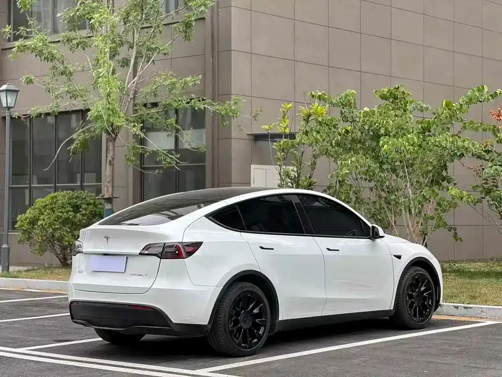 Tesla Model Y — фото 6