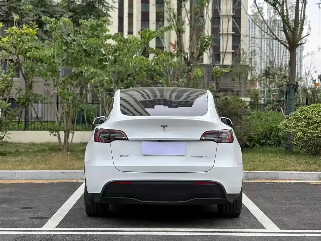 Tesla Model Y — фото 3