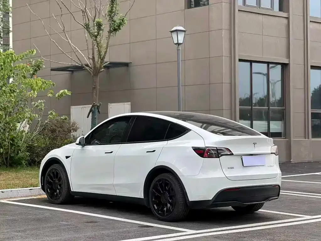 Tesla Model Y — фото 9