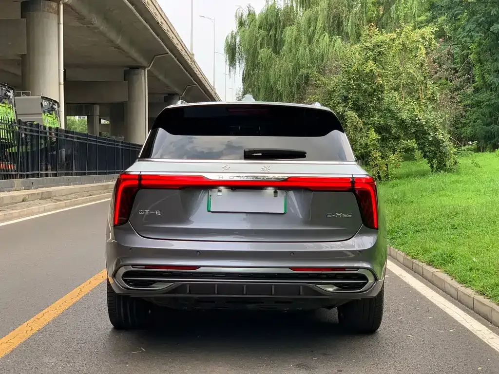 Hongqi E-HS9 — фото 10